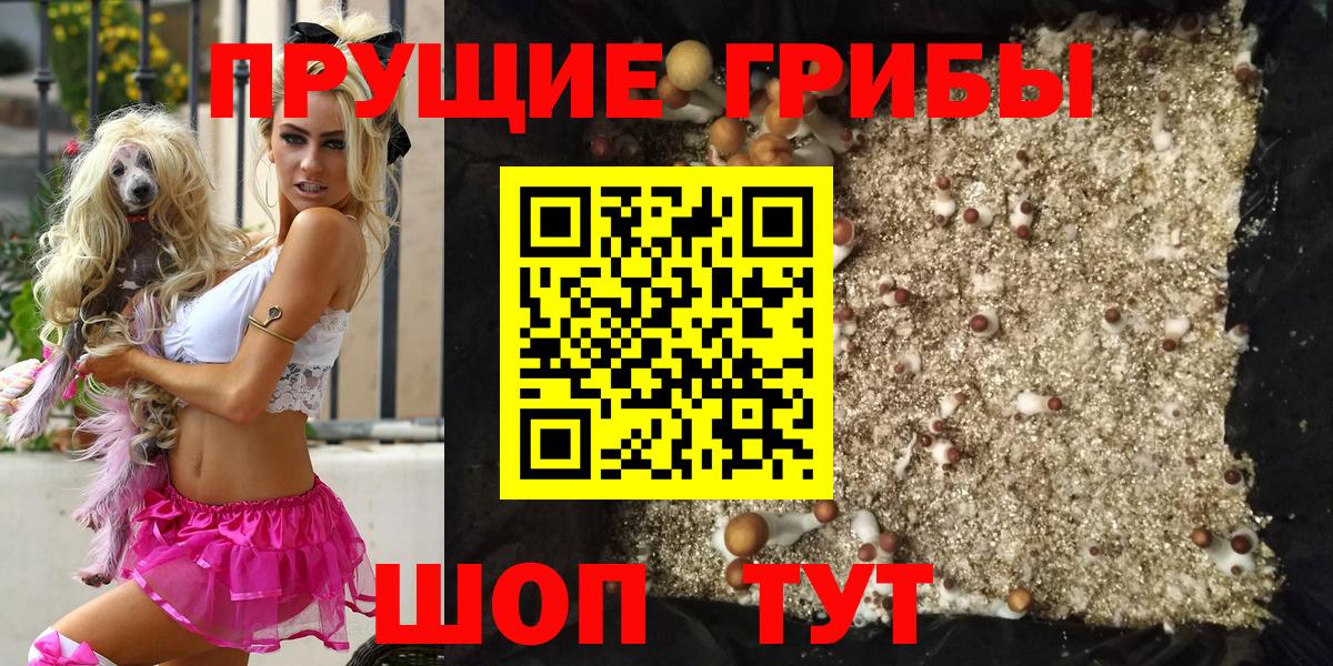 Псилоцибиновые грибы MAGIC MUSHROOMS Калининград